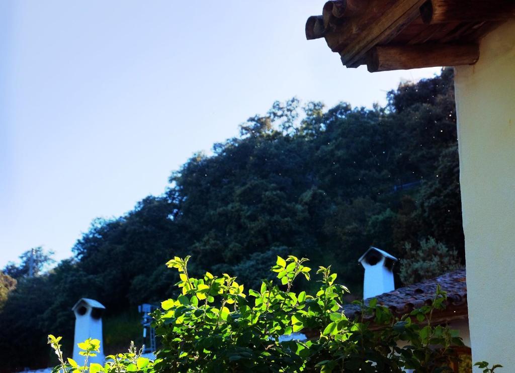 El Molino Del Corcho Διαμέρισμα Cazalla de la Sierra Εξωτερικό φωτογραφία